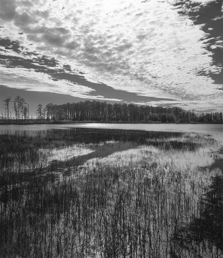 Infrared Photo of Wetland and Spectacular Cloudy Sky